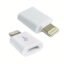 V8 to iphone Converter/ Connector